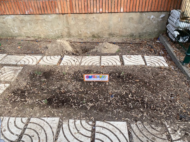 Carteles de nuestro huerto